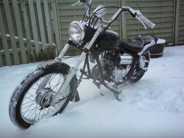 Regal raptor-taget af politiet- billede 4