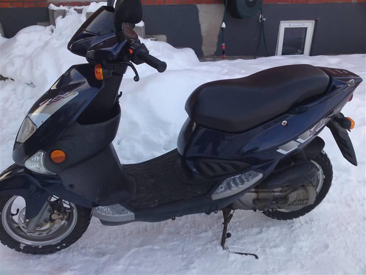 PGO t-rex ( SOLGT ) billede 2