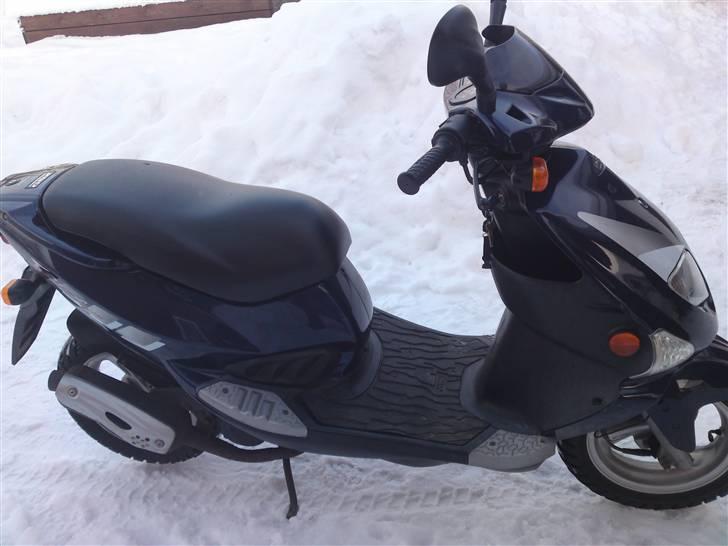 PGO t-rex ( SOLGT ) billede 3