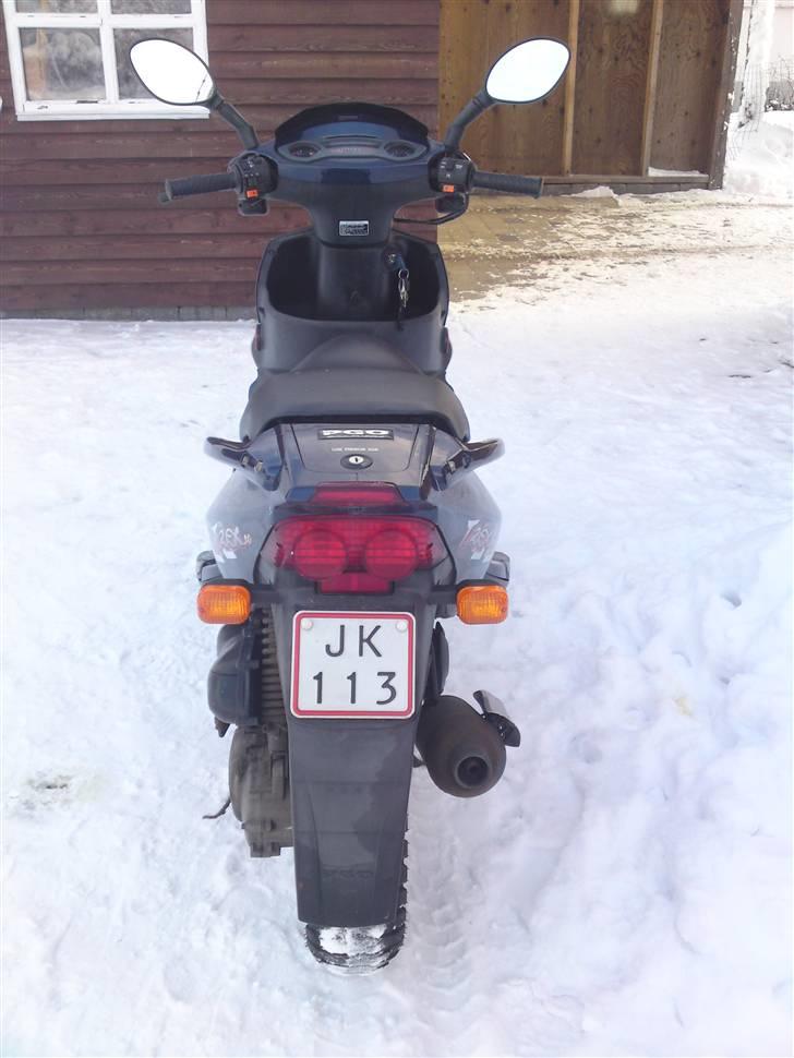 PGO t-rex ( SOLGT ) billede 4