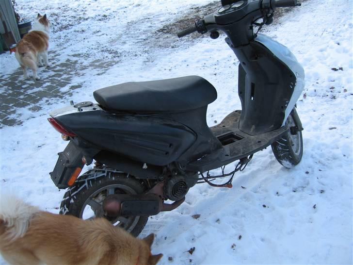 CPI Oliver  billede 1