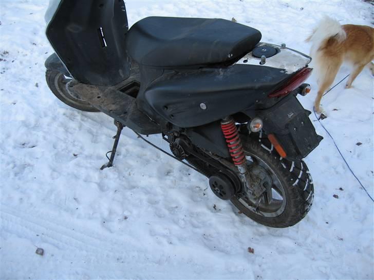 CPI Oliver  billede 6