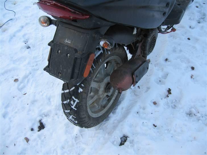 CPI Oliver  billede 11