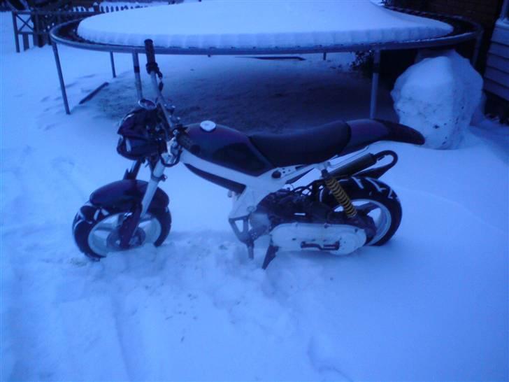 Suzuki street magic billede 1