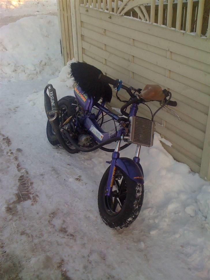 Aprilia fz lc projekt billede 7