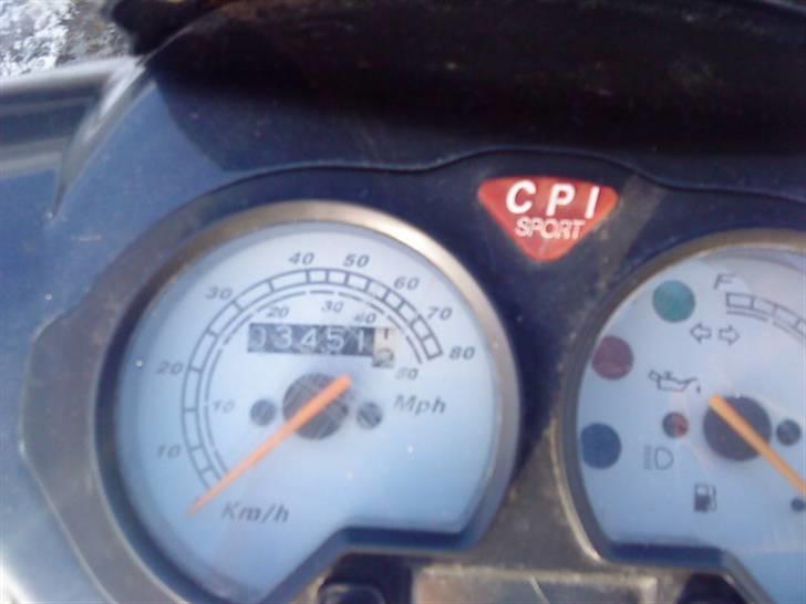 CPI hussar  solgt billede 3