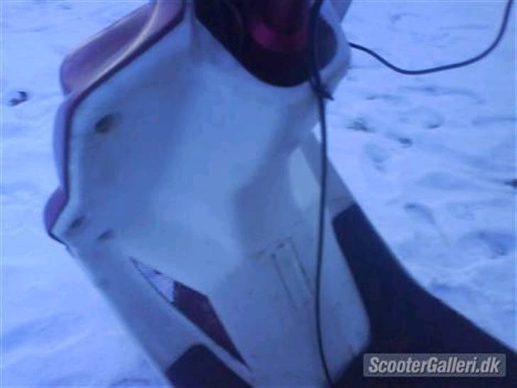 PGO hot 50 (byttet)  billede 2