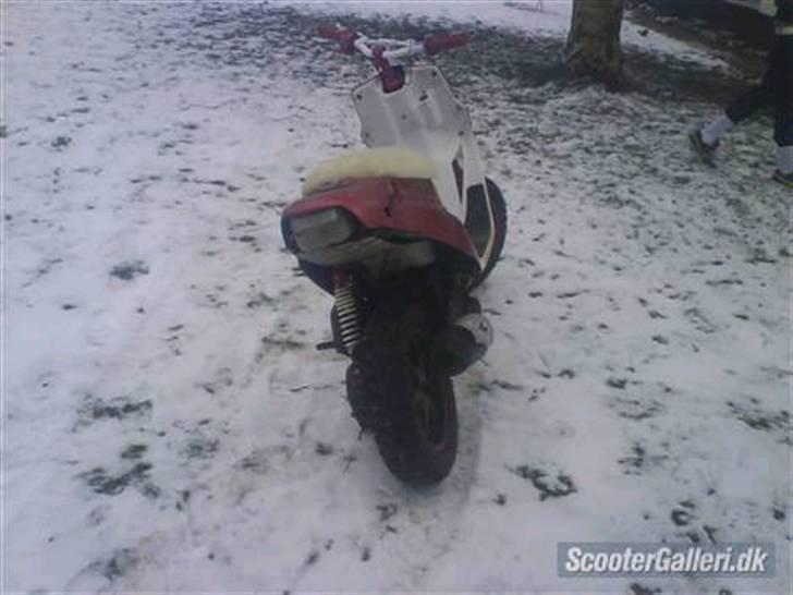 PGO hot 50 (byttet)  billede 3