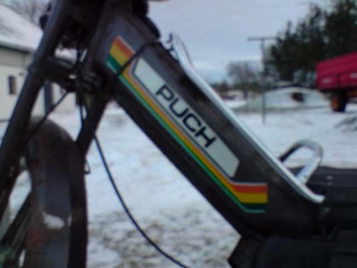 Puch Maxi KL billede 3
