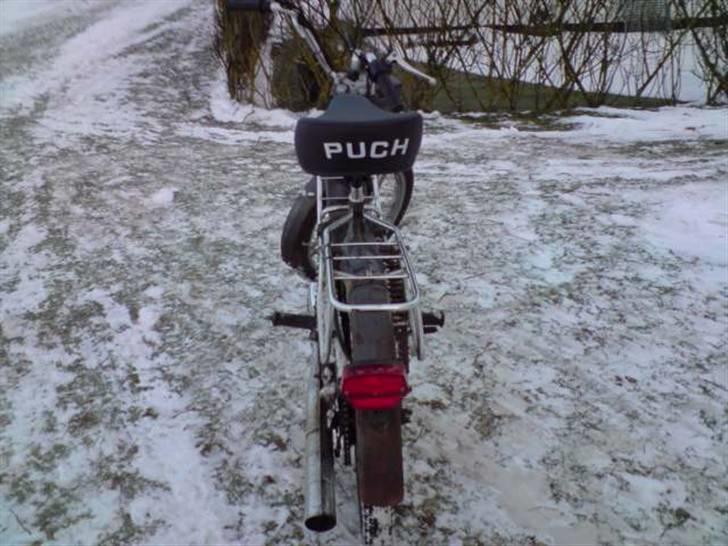Puch Maxi KL billede 7