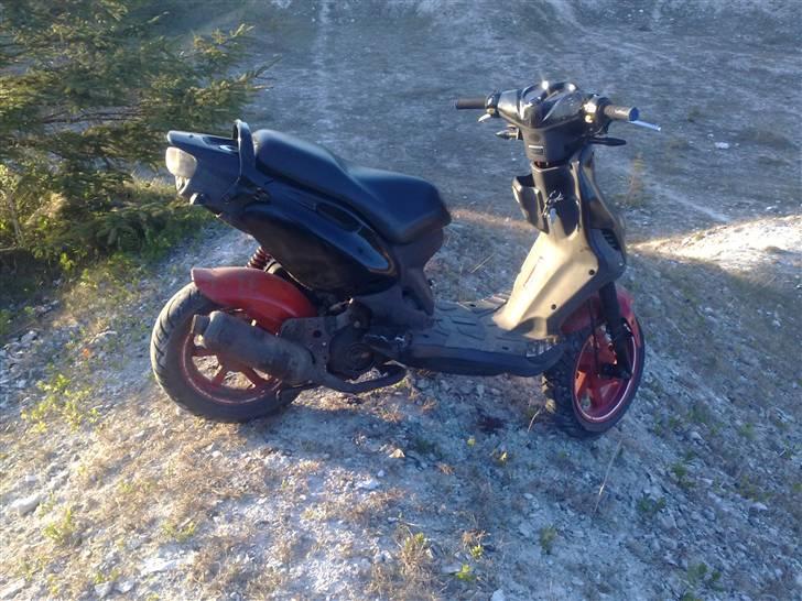 PGO Pmx No fear       (SOLGT) billede 1