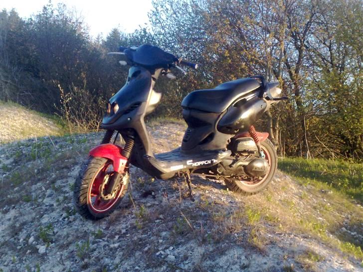 PGO Pmx No fear       (SOLGT) billede 2