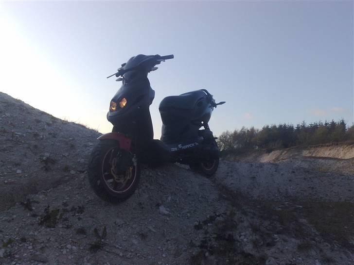 PGO Pmx No fear       (SOLGT) billede 3