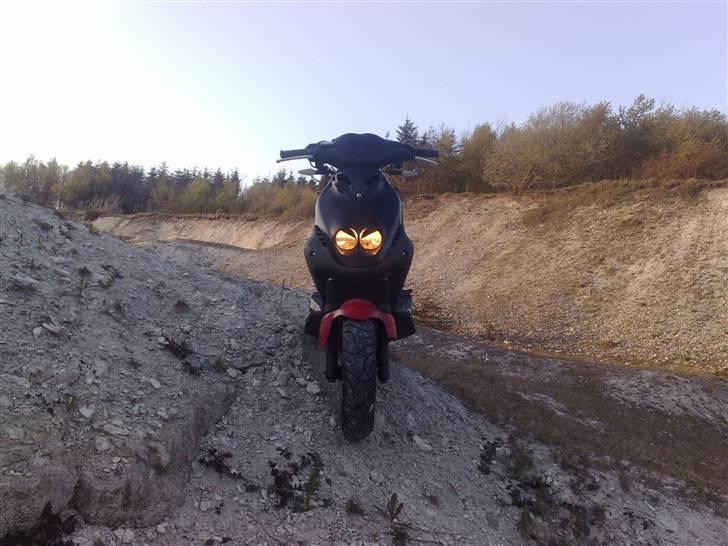 PGO Pmx No fear       (SOLGT) billede 4