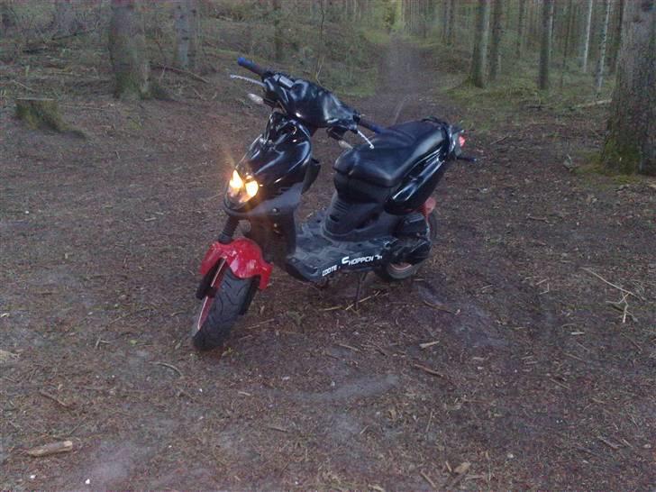 PGO Pmx No fear       (SOLGT) billede 5