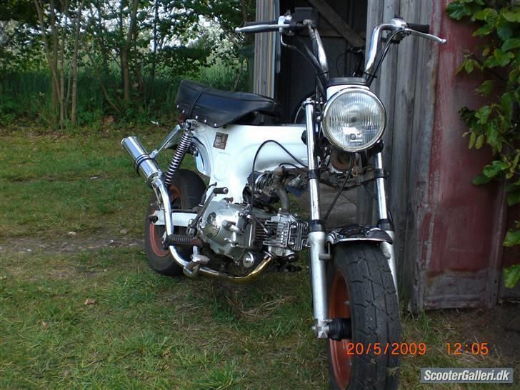 Skyteam Dax Solgt billede 2