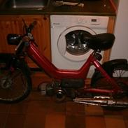 Puch  maxi (malet om)