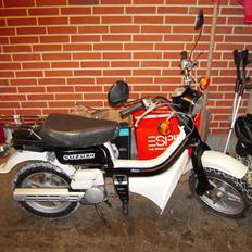 Suzuki Fz 50 (Solgt)