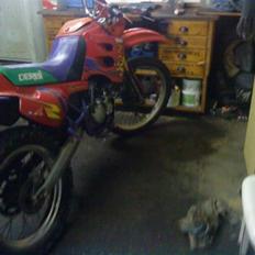 Derbi senda r solgt død