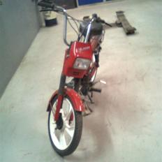 Tomos Tomos •• quadro solgt