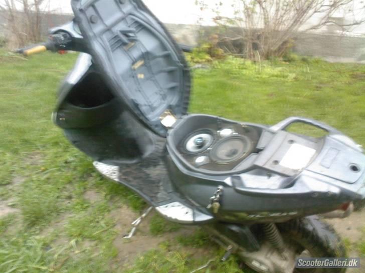 PGO Dr. Big billede 5