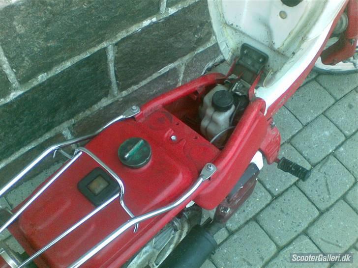 Suzuki FZ 50 "Trunte" "DØD" :( billede 1