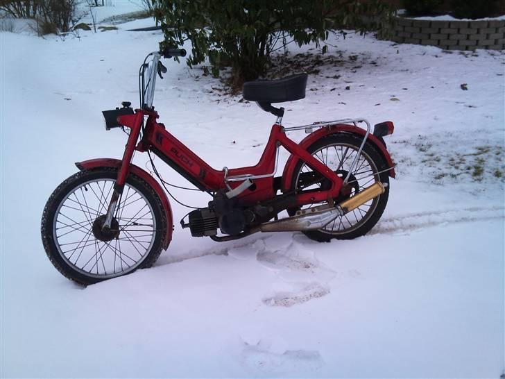 Puch maxi billede 2