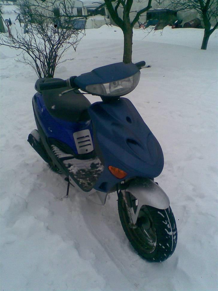 Adly Silverfox billede 1