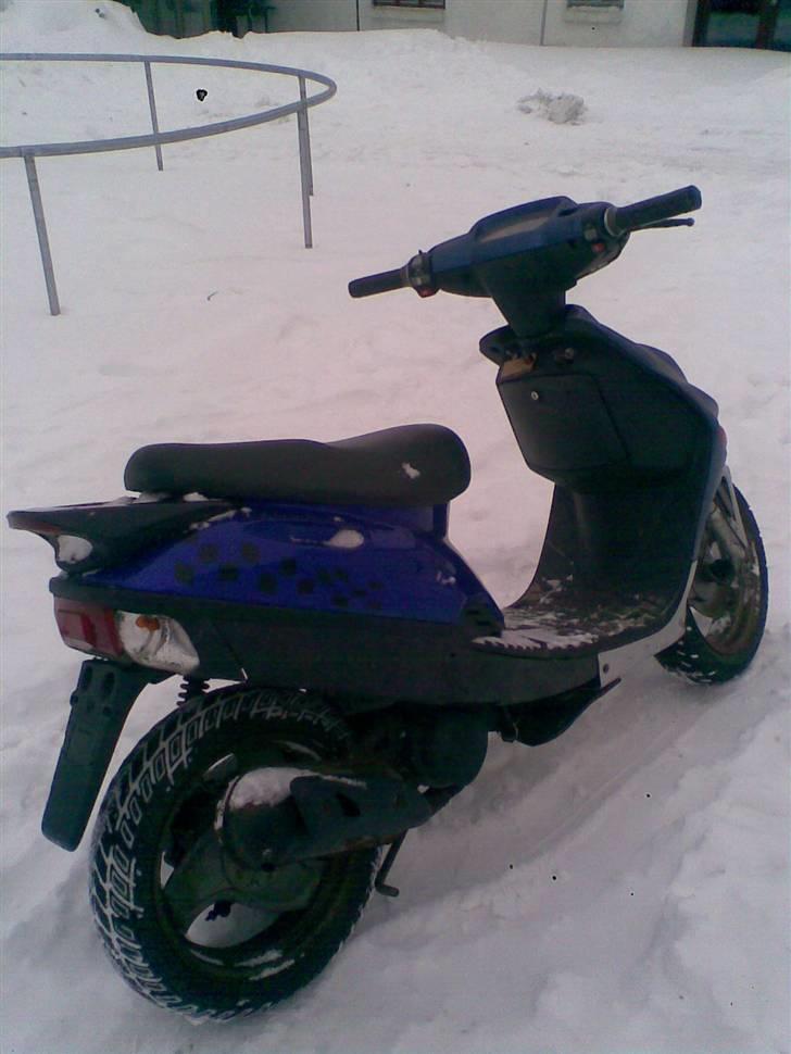 Adly Silverfox billede 2