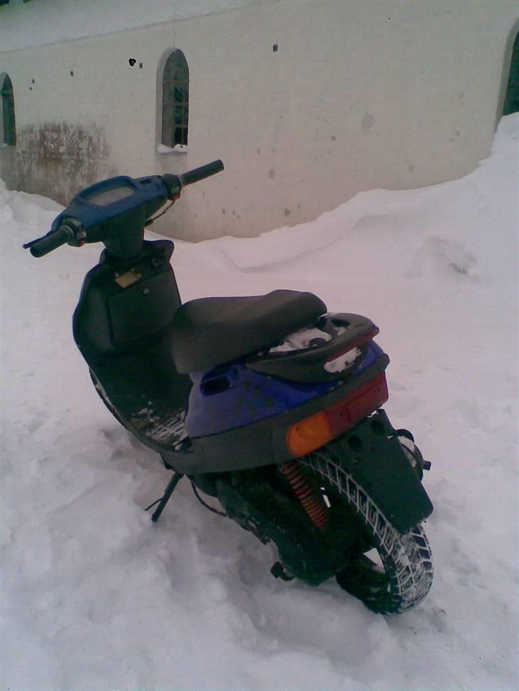 Adly Silverfox billede 3