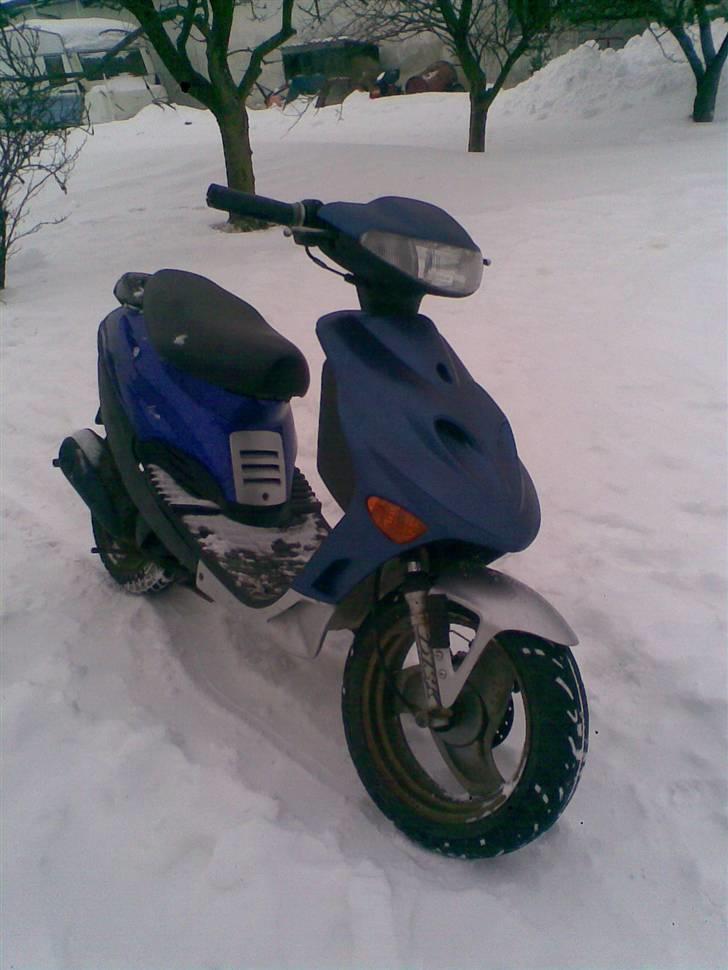 Adly Silverfox billede 5