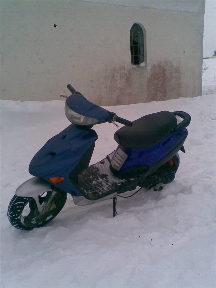 Adly Silverfox billede 6