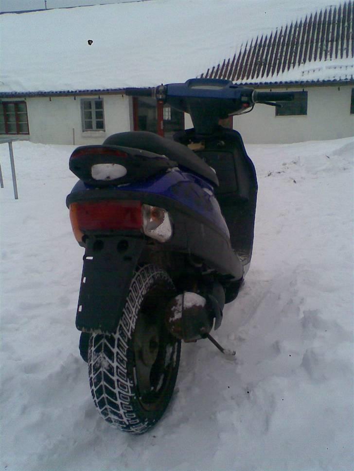 Adly Silverfox billede 7