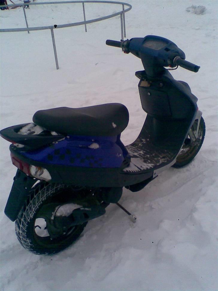 Adly Silverfox billede 8