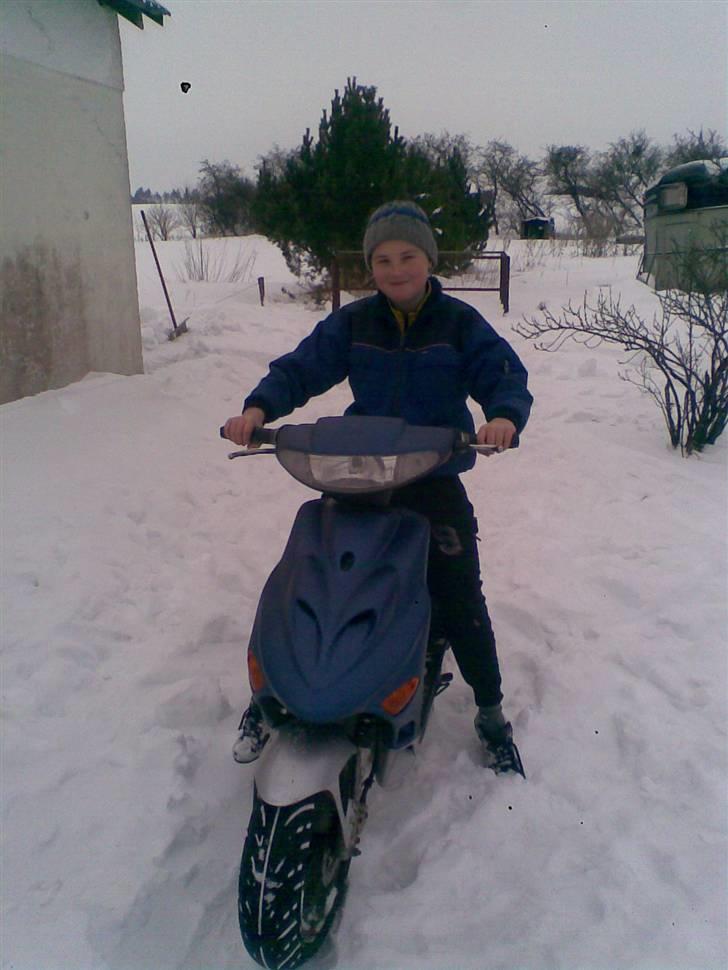 Adly Silverfox billede 9