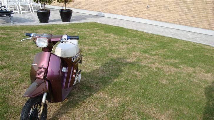 Honda Melody billede 3