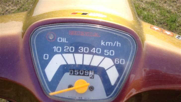 Honda Melody billede 7