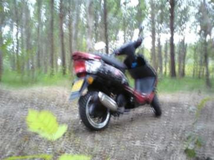 Giantco sprint solgt  billede 4