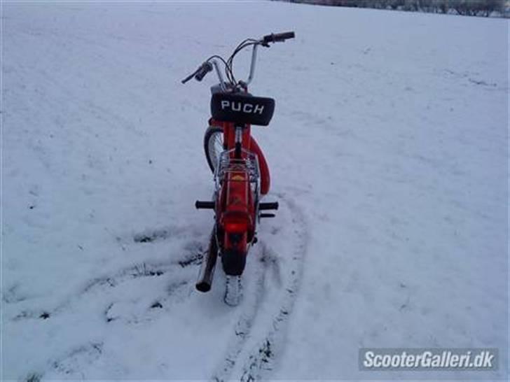 Puch Maxi K TIL SALG billede 3