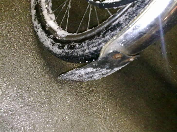 Suzuki Dm 50 SOLGT billede 6