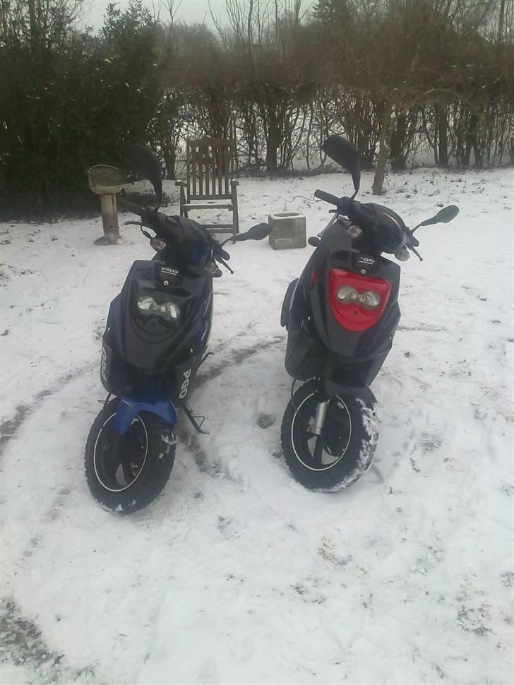 PGO hot 50 byttet til rieju:) - sammen med min vens min den blå :) billede 9