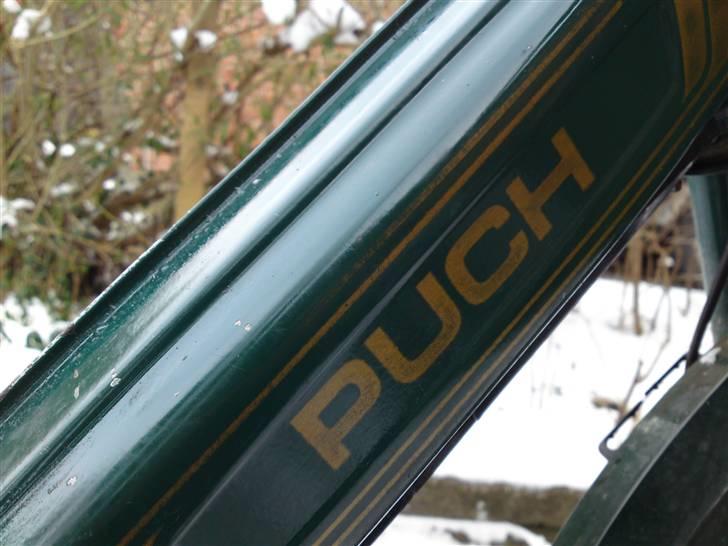 Puch Maxi K - (solgt) billede 9