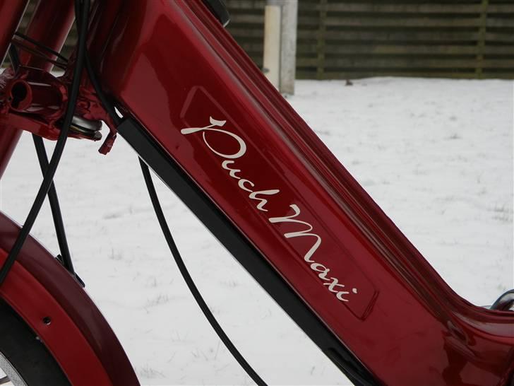 Puch Maxi-K - Solgt billede 11