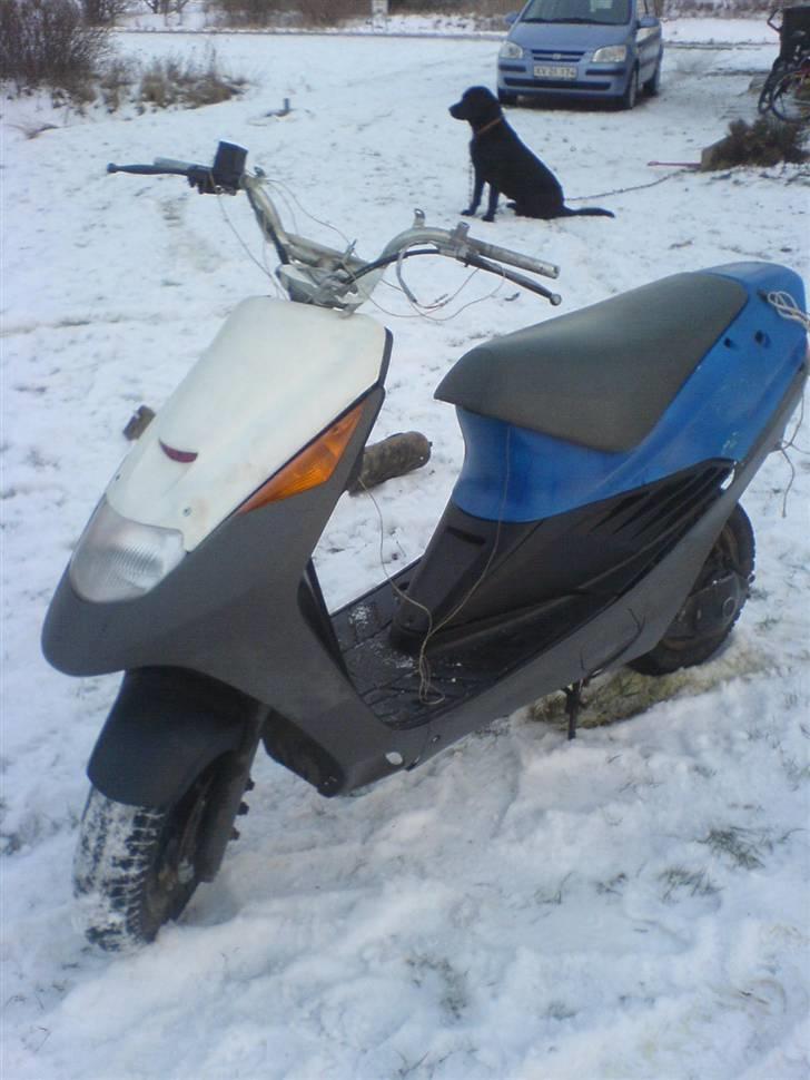 Suzuki AP50 GUNNAR ( GI EN LAV ) billede 7