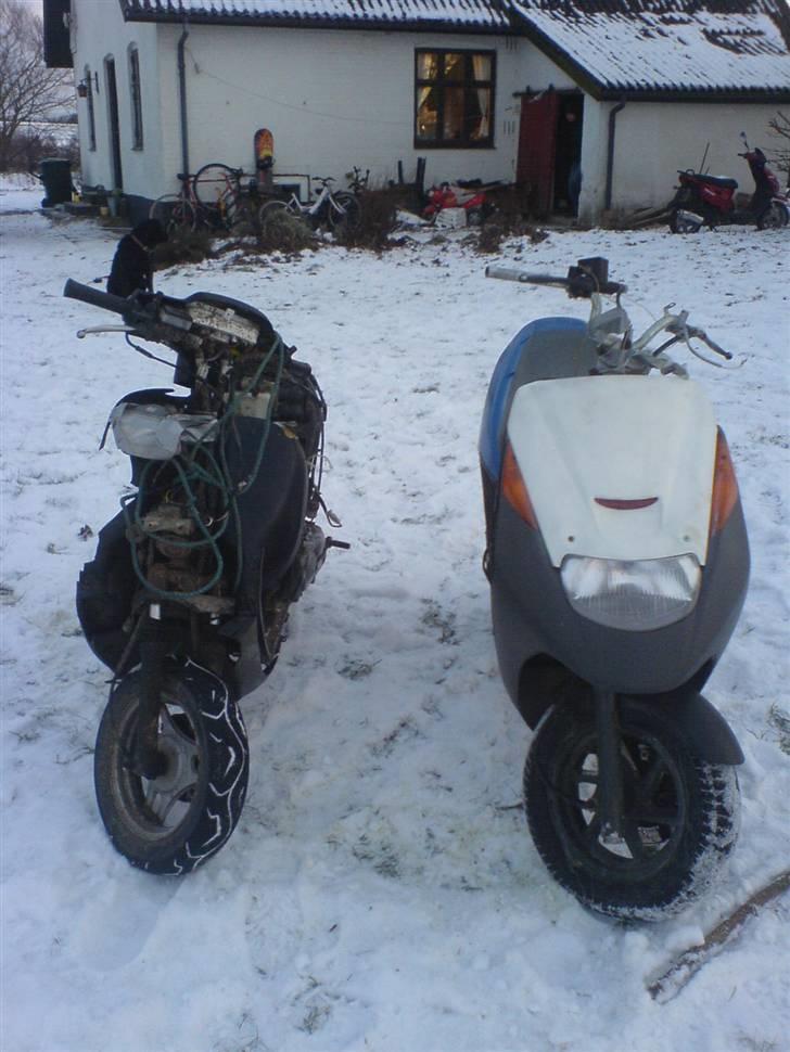 Suzuki AP50 GUNNAR ( GI EN LAV ) billede 11