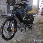 Puch Puch Maxi P