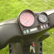 Gilera stalker