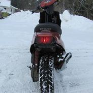 PGO hot50 hotte lotte(byttet)