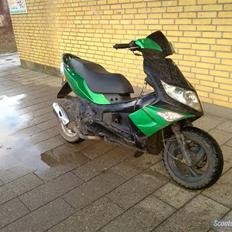 PGO G-max 110cc byttet
