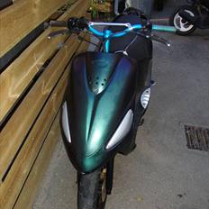 PGO black magic/Chamæleon